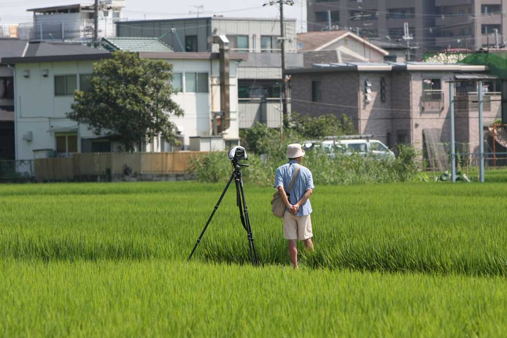 東海道本線高槻－島本　鉄ちゃん