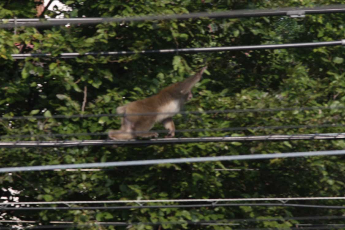 東海道本線湯河原-真鶴