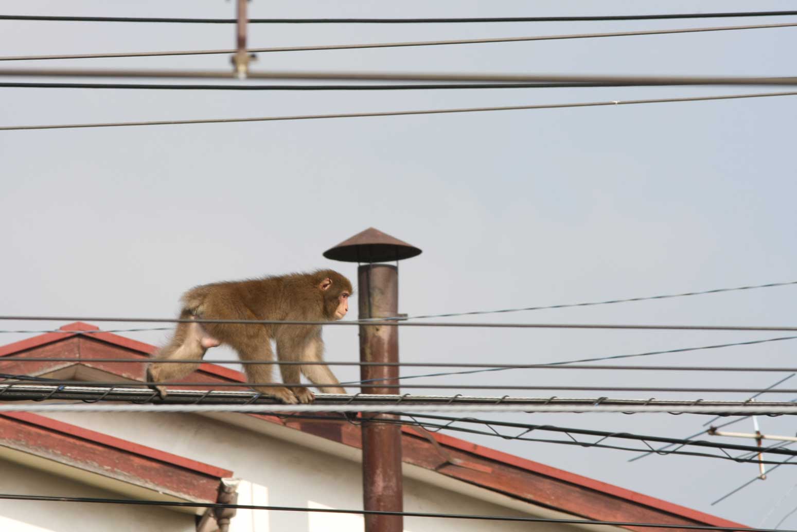 東海道本線湯河原-真鶴