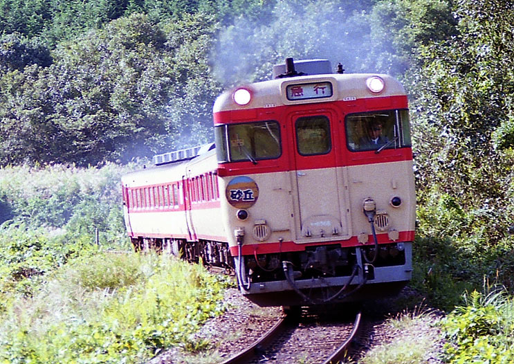 津山線玉柏－牧山　キハ65系急行「砂丘」